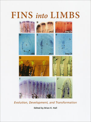 cover image of Fins into Limbs